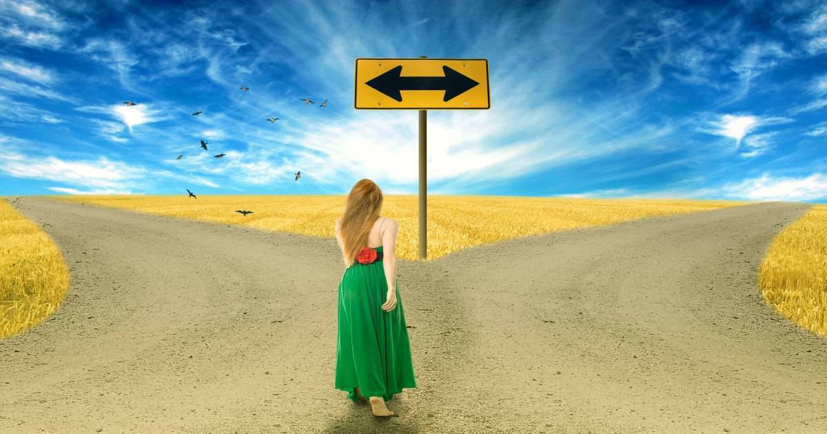 Choose Consultant or Vendor